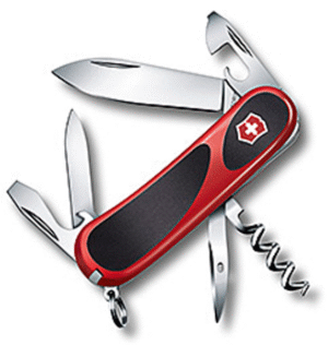 81. Victorinox Evolution10 Zakmes