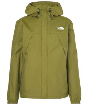 Forest Olive