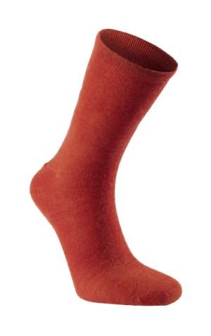 Autumn Red