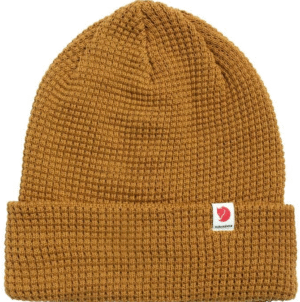 Acorn