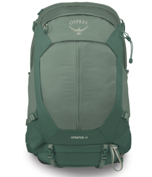 Pine leaf green