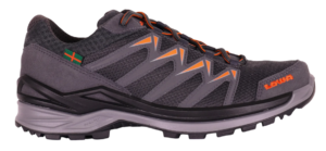 Lowa Innox Pro 4Daagse GTX Lo herenwandelschoen