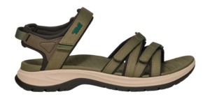 Burnt Olive